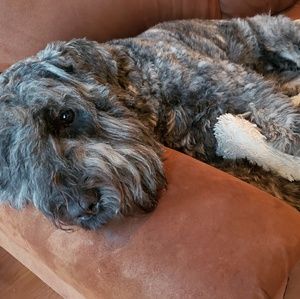 Meet your Posher, Travis